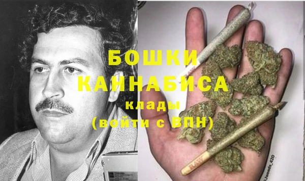Альфа ПВП Няндома