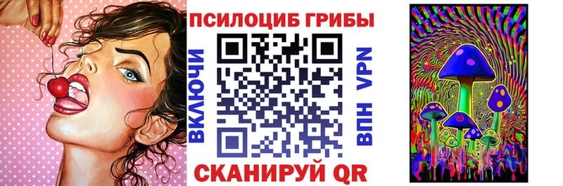 Галлюциногенные грибы прущие грибы  Трубчевск 
